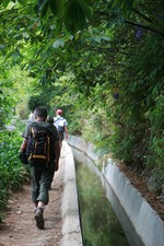 Randonnée le long de la levada
