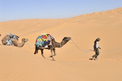 Grand Erg Tunisien