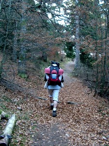 randonnée dans le massif des Vosges