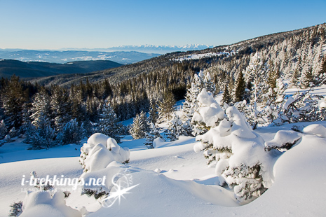 Le massif du Pirin en arrière-plan