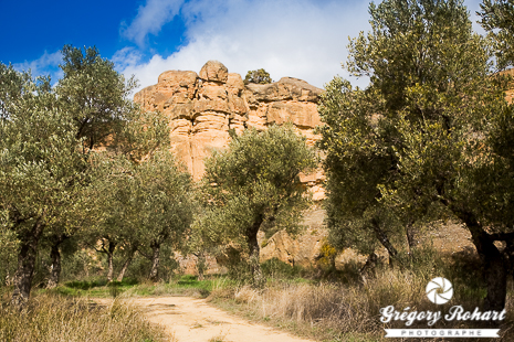 Rincon del Olivar