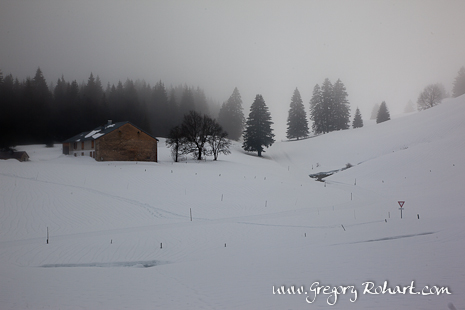 En remontant la piste de ski de fond sur la droite, le chemin le plus court pour la Dalue. Hélas, je descendrais à gauche