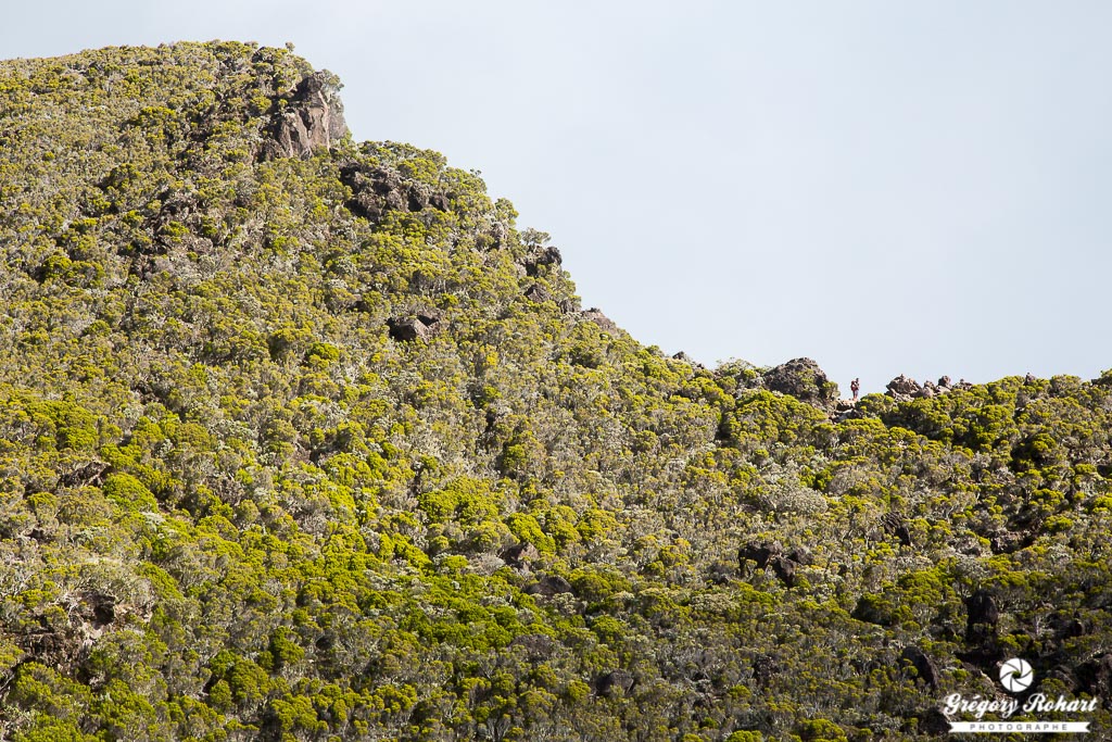 Un randonneur au coteau de Kerveguen - Traversée de la Réunion