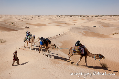 Caravane dans le désert