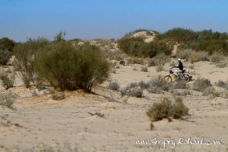 A l'approche de Douz