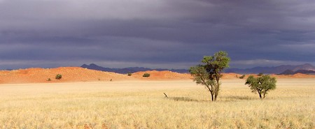 Namid Rand Nature Reserve