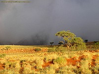Contraste crépusculaire dans la Namid Rand Nature Reserve