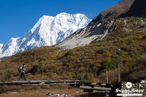 Traversée d'un pont népalais dans la vallée de Binthang avec en toile de fond le massif du Cheo Himal.