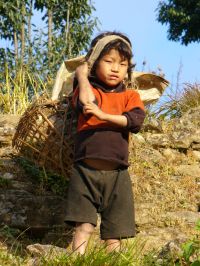 Jeune porteur népalais