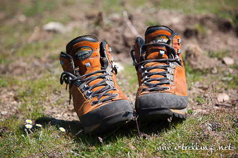 Meindl Alta Via GTX