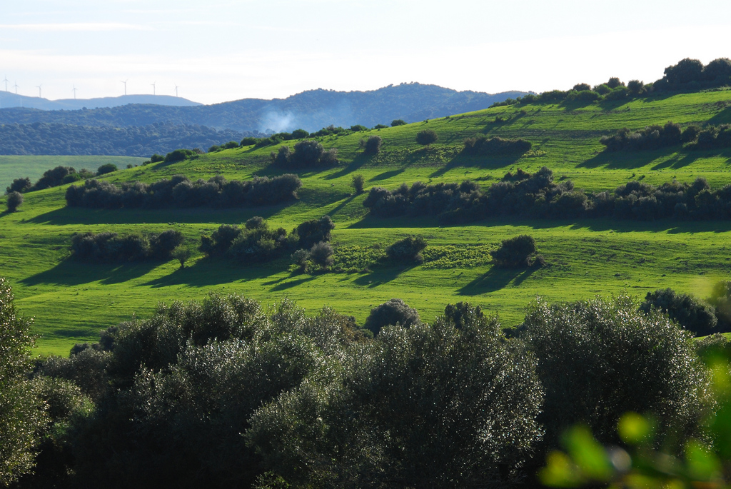 traversée de l'Andalousie