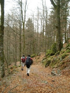 randonnée dans le massif des Vosges
