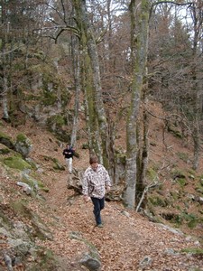 randonnée dans le massif des Vosges