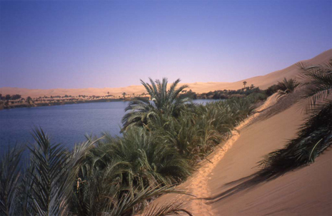 Le lac et l’oasis de Gabaraun (erg d’Ubari), le 22 février 2002