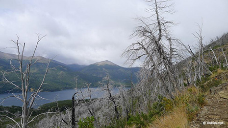 Traversée du parc national Nahuel Huapi