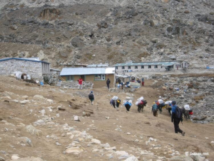 népal camp de base de l’everest