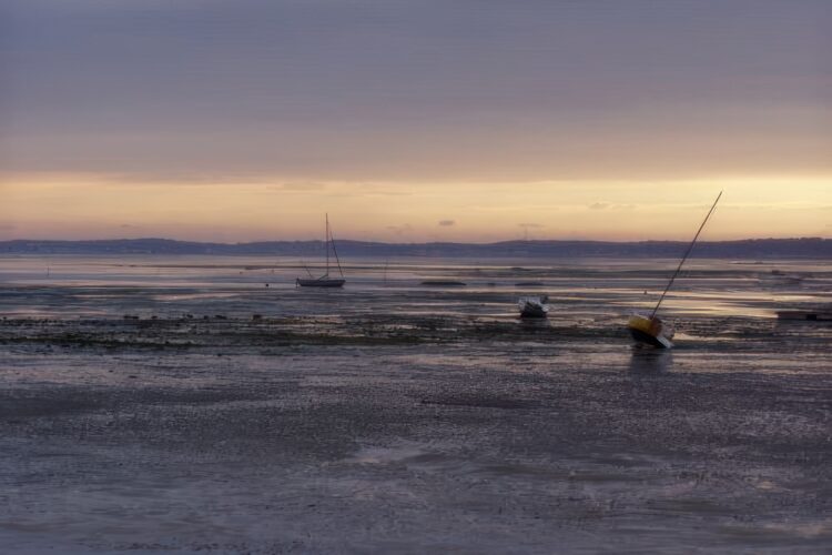 bassin d'Arcachon à pied