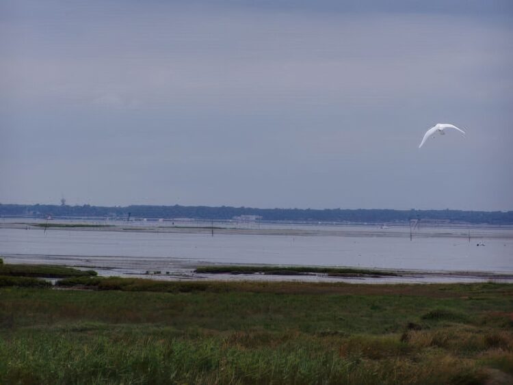 Tour du bassin d'Archachon à pied