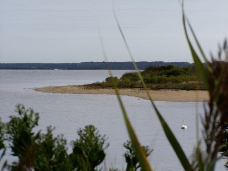 Parc ornithologique du Teich, Tour du bassin d'Archachon à pied