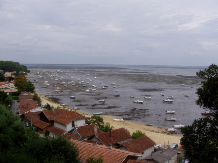 Pointe chevaux, Tour du bassin d'Archachon à pied