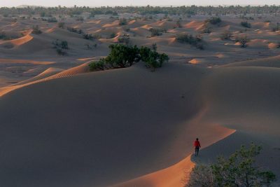 dunes et oasis du sud marocain