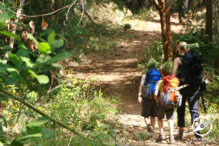 Trek famille dans la jungle de la Thaïlande