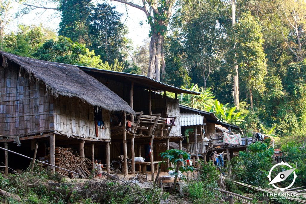 Trek famille dans la jungle de la Thaïlande