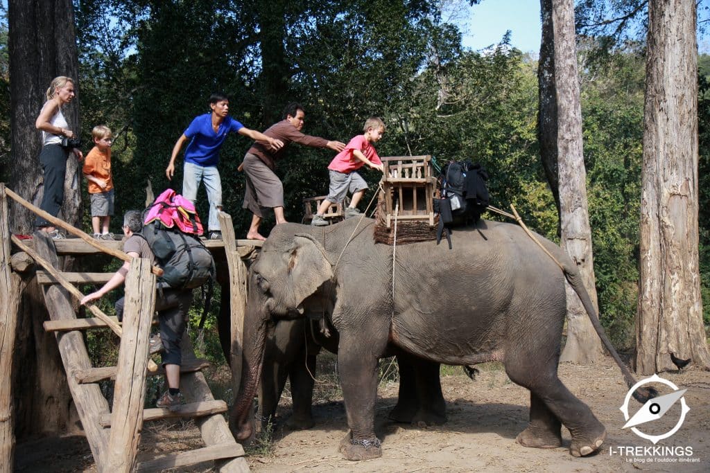 trek éléphant