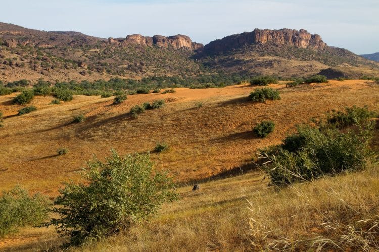Pays Dogon