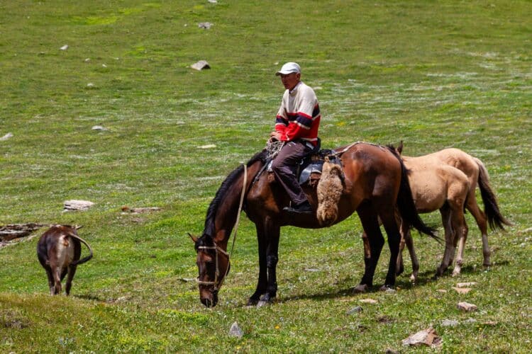 Cavalier kirghize, Trekking dans les Tian-Shan du Terskey Alatoo