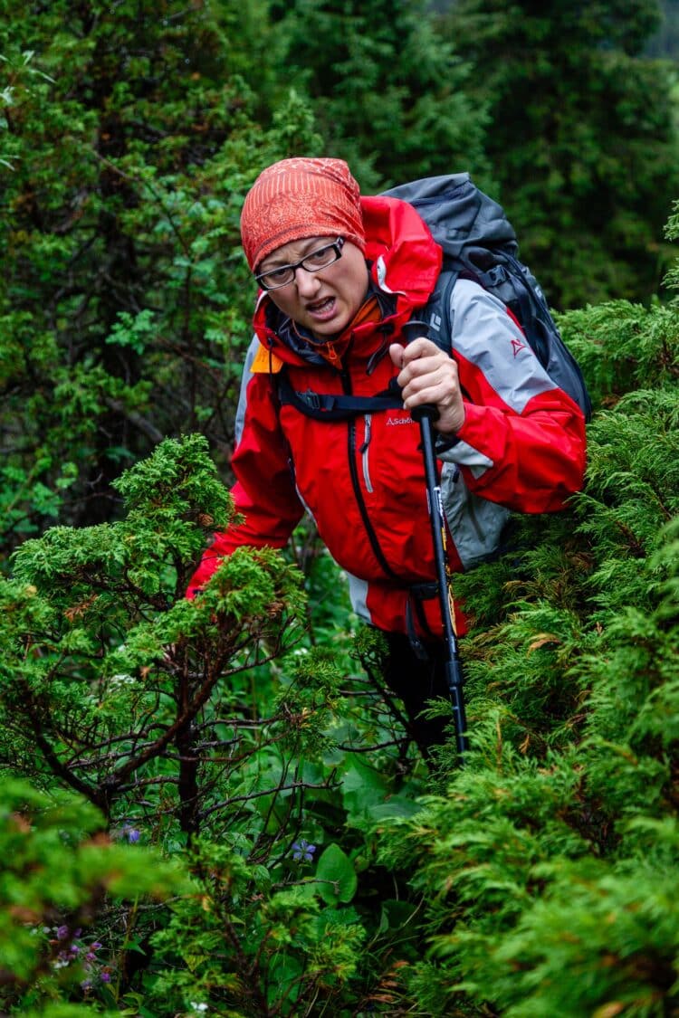 Dans la montée au cpl Ala Kul, Trekking dans les Tian-Shan du Terskey Alatoo