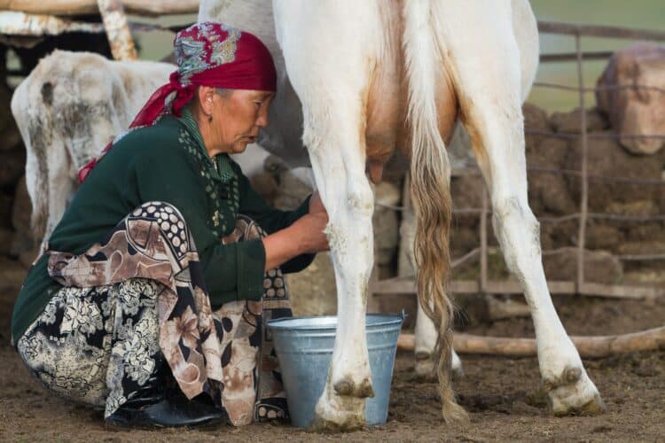 Song Köl, Trekking Tian-Shan intérieur