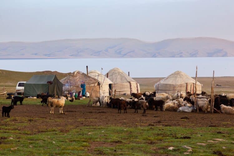 Jailoo, Trekking Tian-Shan intérieur