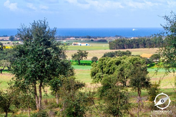 Rota Vicentina