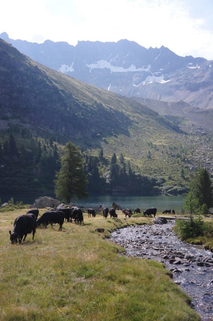 Traversée des Dolomites en bivouac