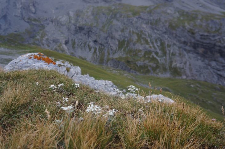 Traversée des Dolomites en bivouac