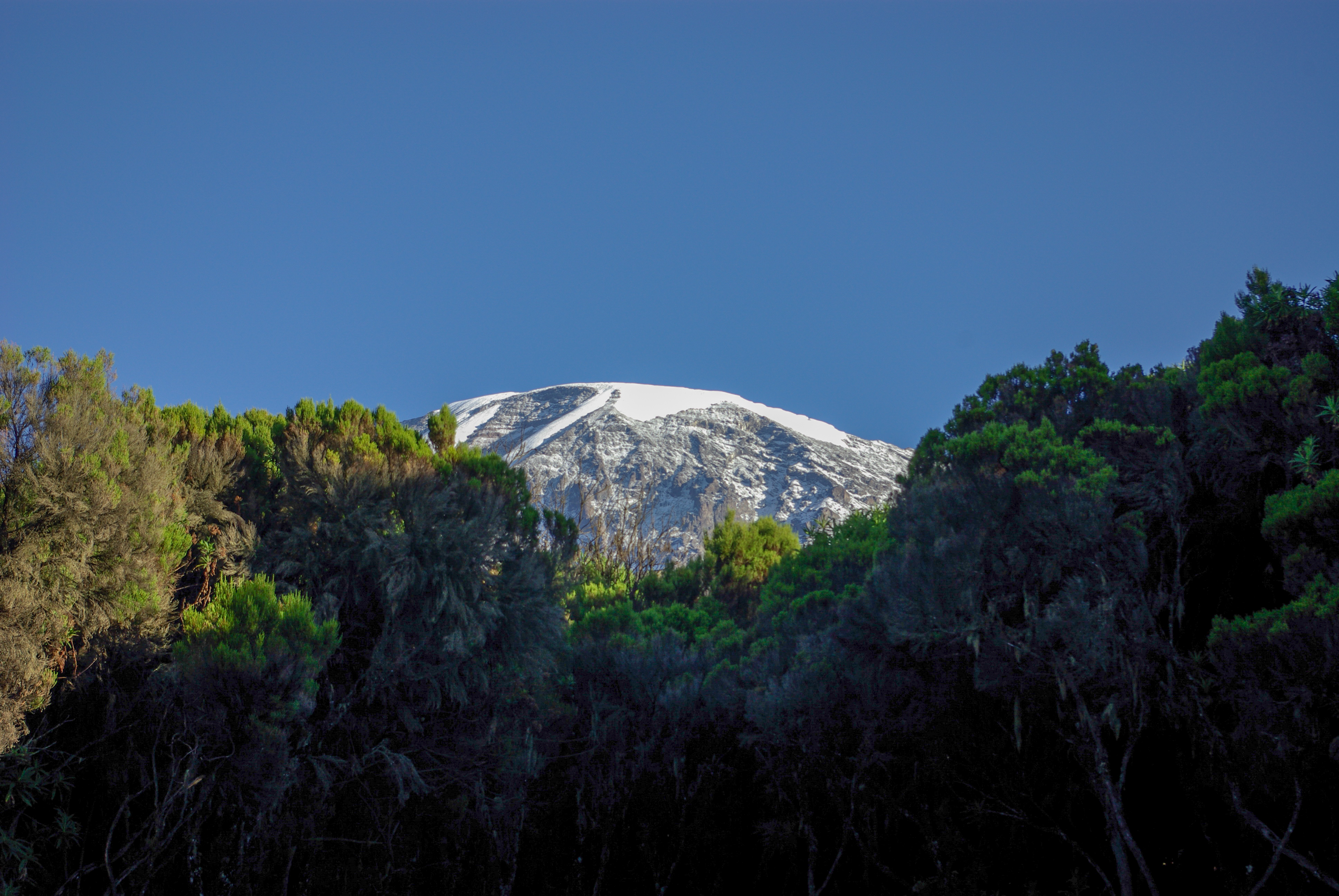 ascension kilimanjaro voie machame