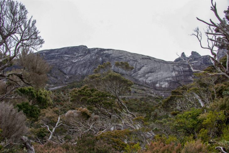 Ascension du Kinabalu