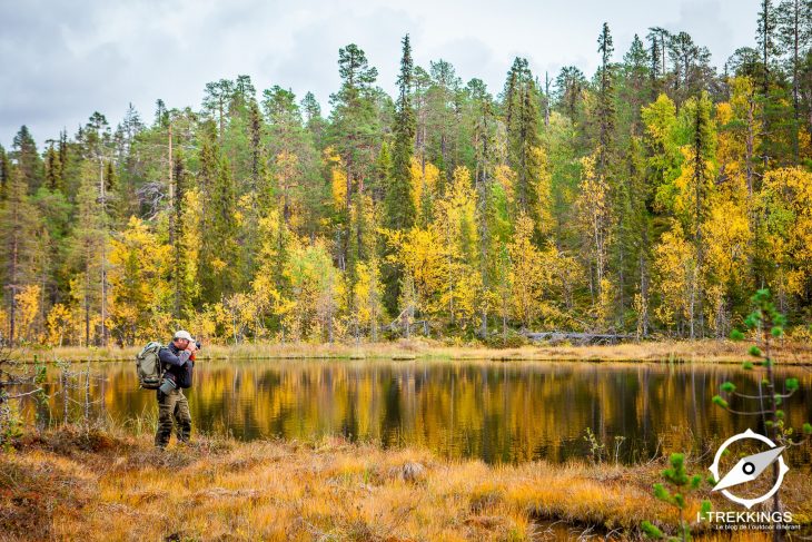 Parc national de Muddus