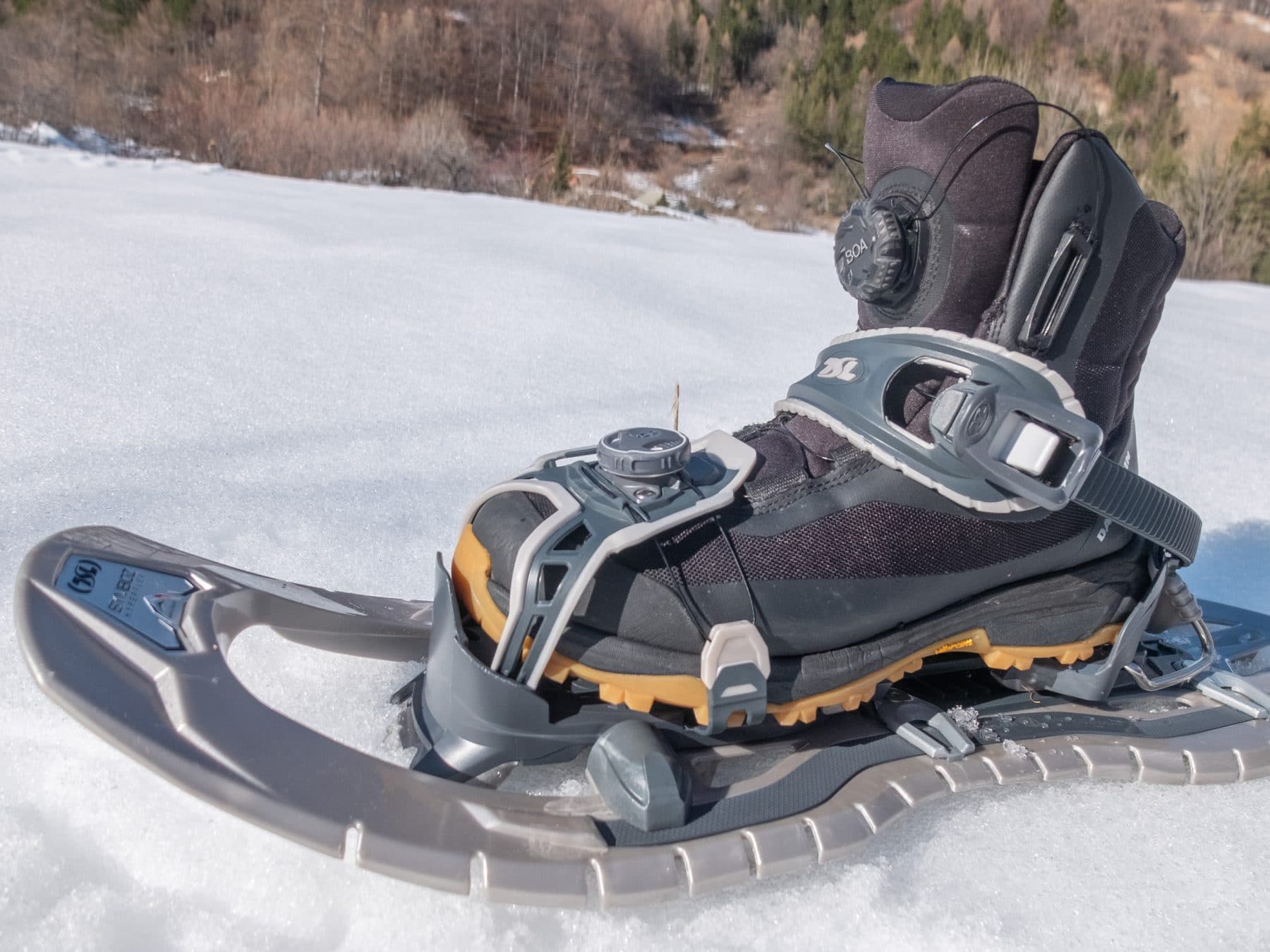 chaussures Dachstein Arctic Boa GTX