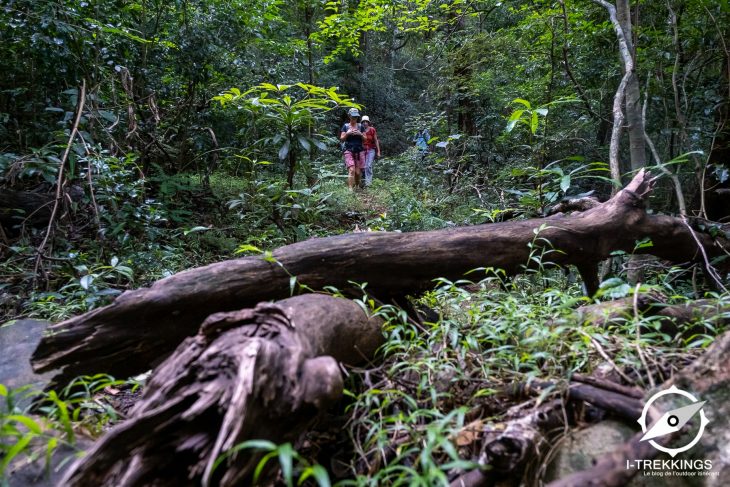 Randonnée dans les monts Knuckles au Sri Lanka