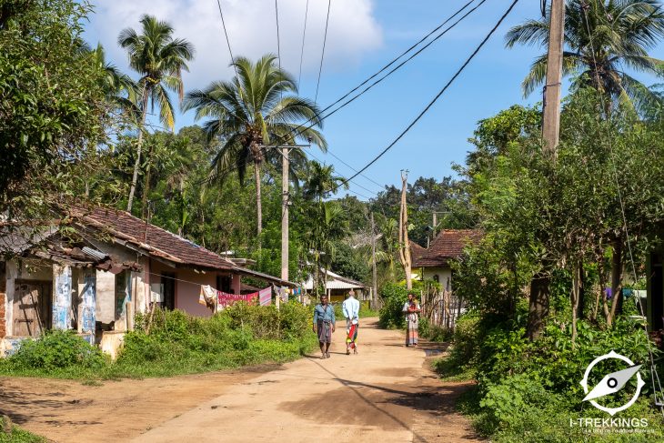 Randonnée dans les monts Knuckles au Sri Lanka