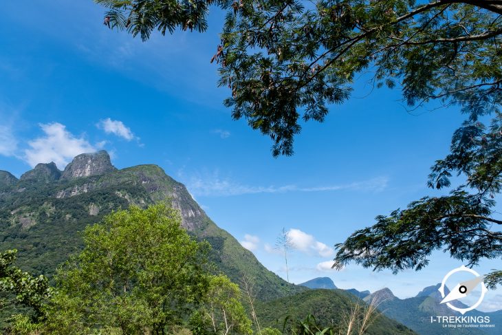 Randonnée dans les monts Knuckles au Sri Lanka