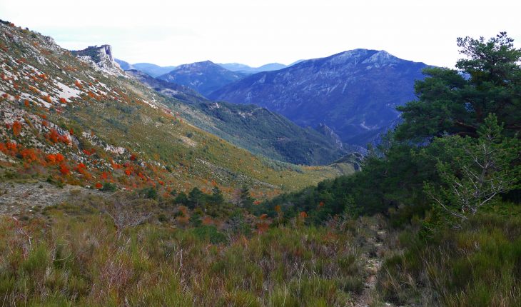 Colle Basse 1446 m