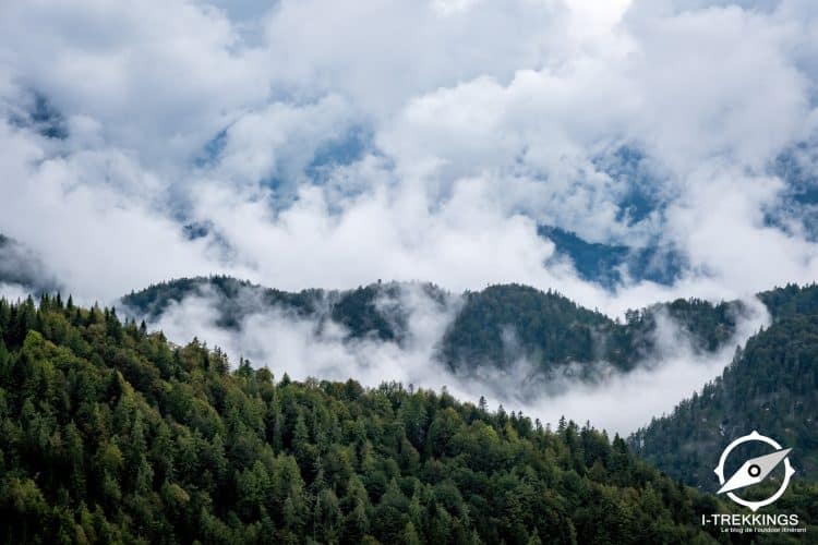 Wilder Kaiser