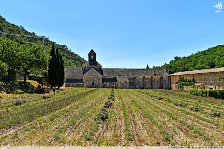 Abbaye de Sénanque (Luberon)