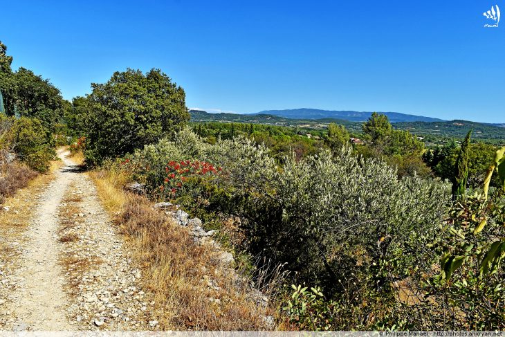 Sentier GR6 de Gordes à Joucas