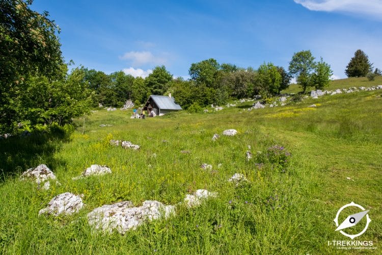 Habert des Ramées, Vercors