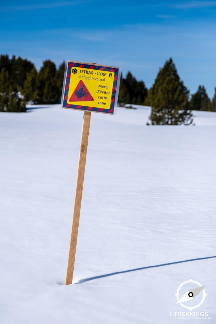 Zone de quiétude pour le tetras-lyre, Vercors