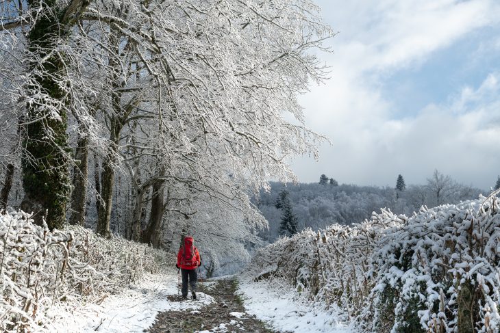Entre neige et bocage dans le Haut Beaujolais